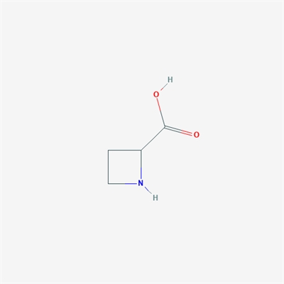 Azetidine-2-carboxylic acid