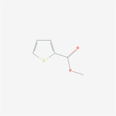 Methyl thiophene-2-carboxylate