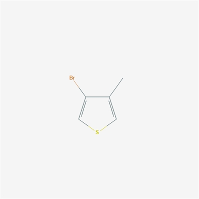 3-Bromo-4-methylthiophene