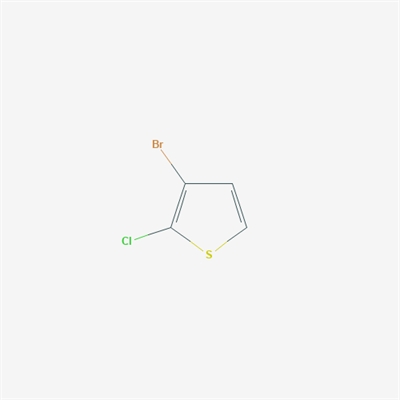 3-Bromo-2-chlorothiophene