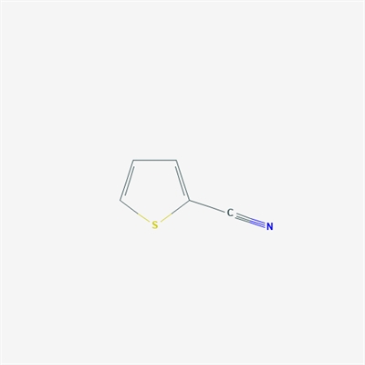 2-Thiophenecarbonitrile