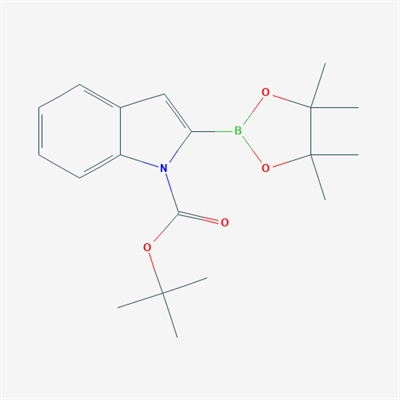 tert-Butyl 2-(4,4,5,5-tetramethyl-1,3,2-dioxaborolan-2-yl)-1H-indole-1-carboxylate