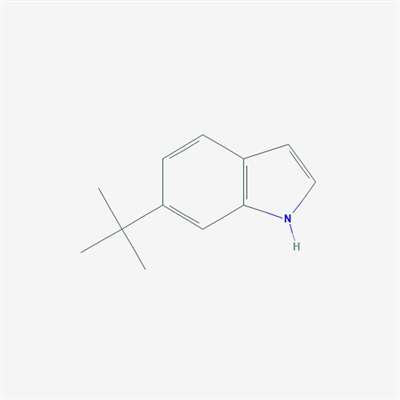 6-(tert-Butyl)-1H-indole