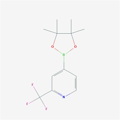 4-(4,4,5,5-Tetramethyl-1,3,2-dioxaborolan-2-yl)-2-(trifluoromethyl)pyridine