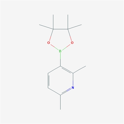 2,6-Dimethyl-3-(4,4,5,5-tetramethyl-1,3,2-dioxaborolan-2-yl)pyridine