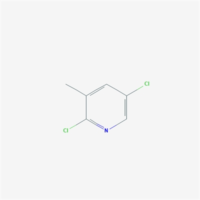 2,5-Dichloro-3-methylpyridine