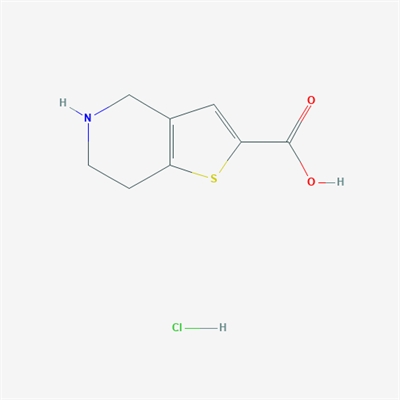 4,5,6,7-Tetrahydrothieno[3,2-c]pyridine-2-carboxylic acid hydrochloride