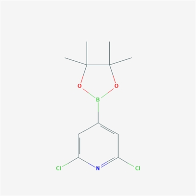 2,6-Dichloro-4-(4,4,5,5-tetramethyl-1,3,2-dioxaborolan-2-yl)pyridine