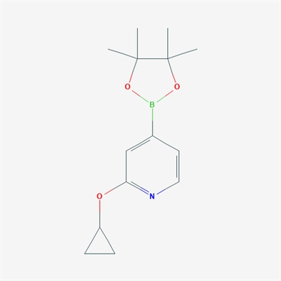 2-Cyclopropoxy-4-(4,4,5,5-tetramethyl-1,3,2-dioxaborolan-2-yl)pyridine