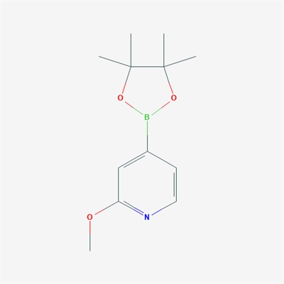 2-Methoxy-4-(4,4,5,5-tetramethyl-1,3,2-dioxaborolan-2-yl)pyridine