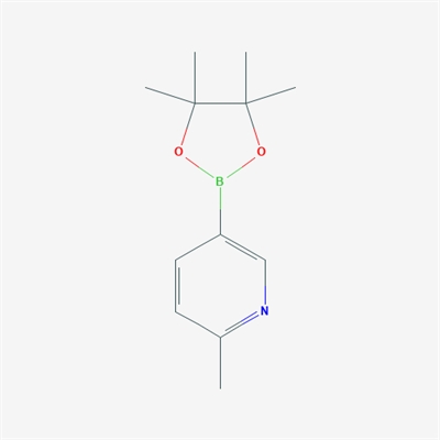 2-Methyl-5-(4,4,5,5-tetramethyl-1,3,2-dioxaborolan-2-yl)pyridine