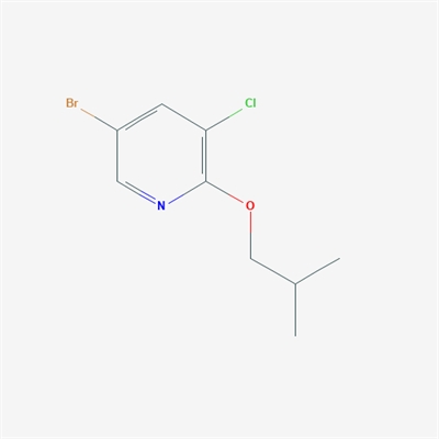 5-Bromo-3-chloro-2-isobutoxypyridine