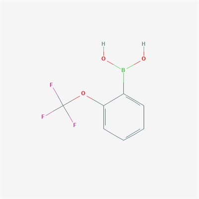 2-Trifluoromethoxyphenylboronic acid