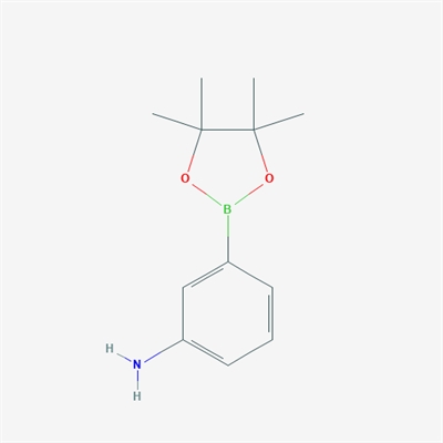 3-(4,4,5,5-Tetramethyl-1,3,2-dioxaborolan-2-yl)aniline