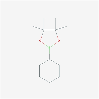 2-Cyclohexyl-4,4,5,5-tetramethyl-1,3,2-dioxaborolane