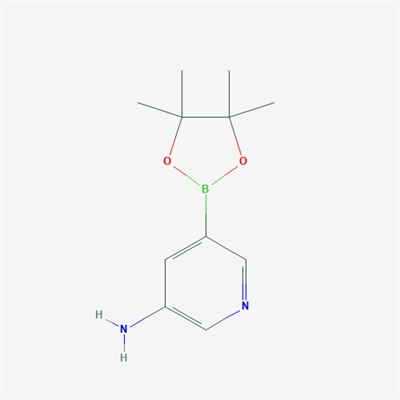 5-(4,4,5,5-Tetramethyl-1,3,2-dioxaborolan-2-yl)pyridin-3-amine