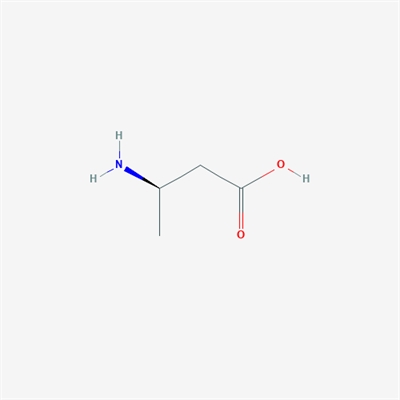 (R)-3-AMINOBUTYRIC ACID