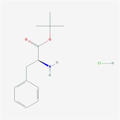 H-Phe-OtBuHCl