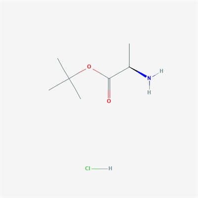 D-Ala-Otbu.Hcl