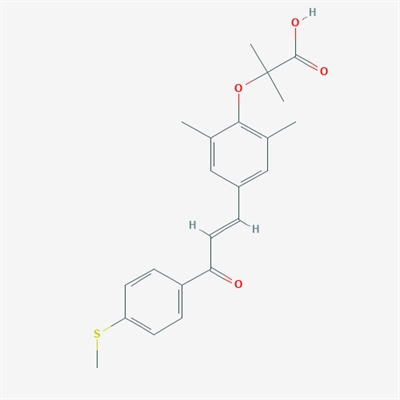 GFT505(ELAFIBRANOR)