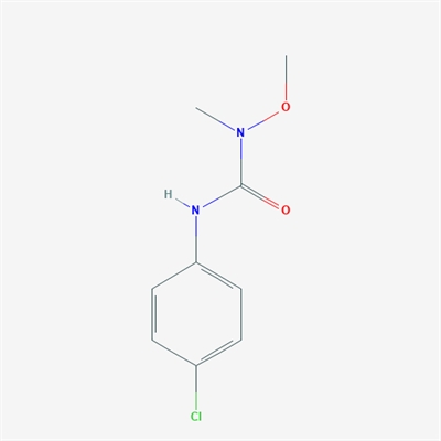 3-(4-chlorophenyl)-1-methoxy-1-methylurea