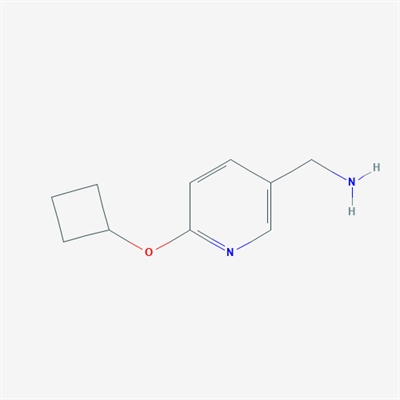 (6-Cyclobutoxypyridin-3-yl)methanamine