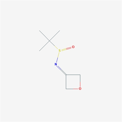 2-Methyl-N-(oxetan-3-ylidene)propane-2-sulfinamide