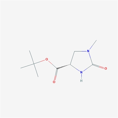 (S)-tert-Butyl 1-methyl-2-oxoimidazolidine-4-carboxylate