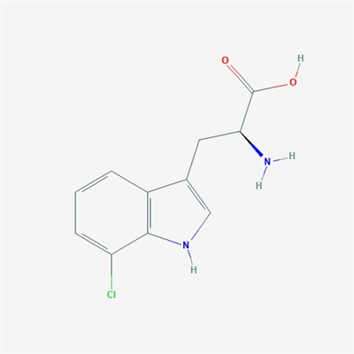 (S)-2-Amino-3-(7-chloro-1H-indol-3-yl)propanoic acid