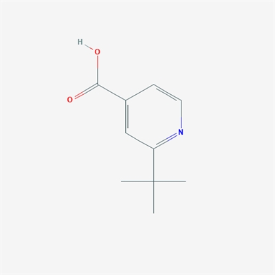 2-(tert-Butyl)isonicotinic acid