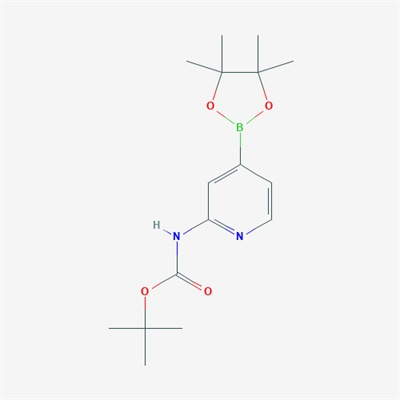 tert-Butyl (4-(4,4,5,5-tetramethyl-1,3,2-dioxaborolan-2-yl)pyridin-2-yl)carbamate